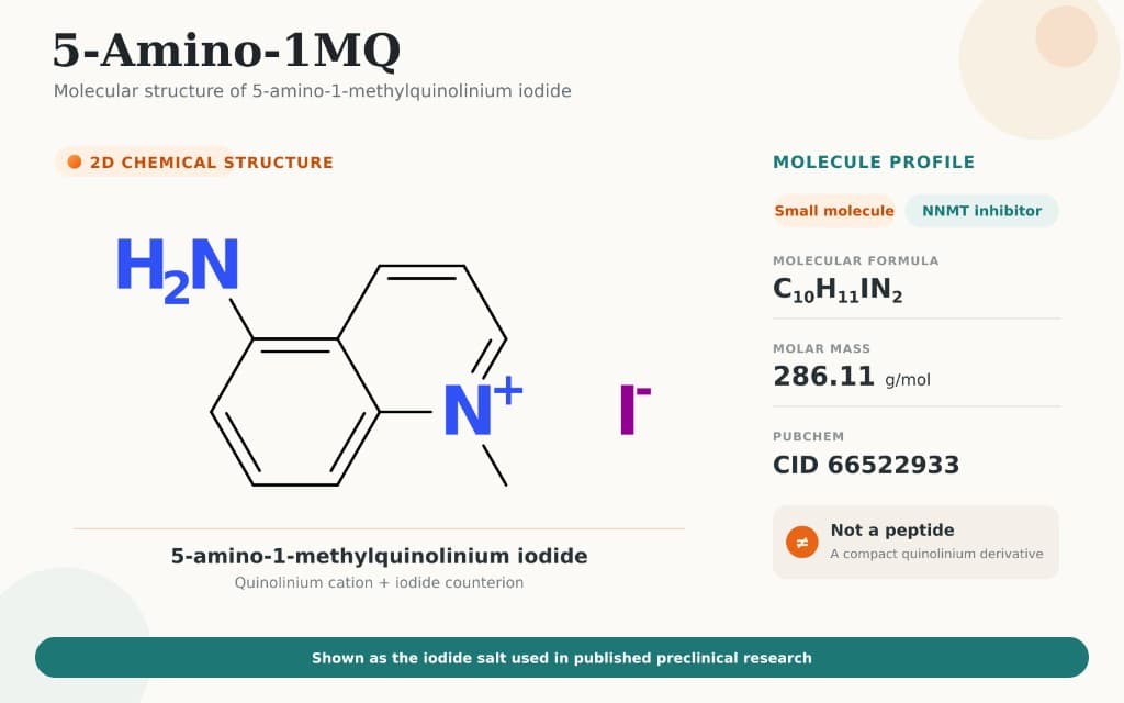 5-Amino-1MQ molecular structure